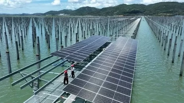anh-1-mot-trang-trai-dien-gio-ngoai-khoi-huyen-binh-dam-tinh-phuc-kien-dong-nam-trung-quoc-nguon-tan-hoa-xa-1732182070.webp
