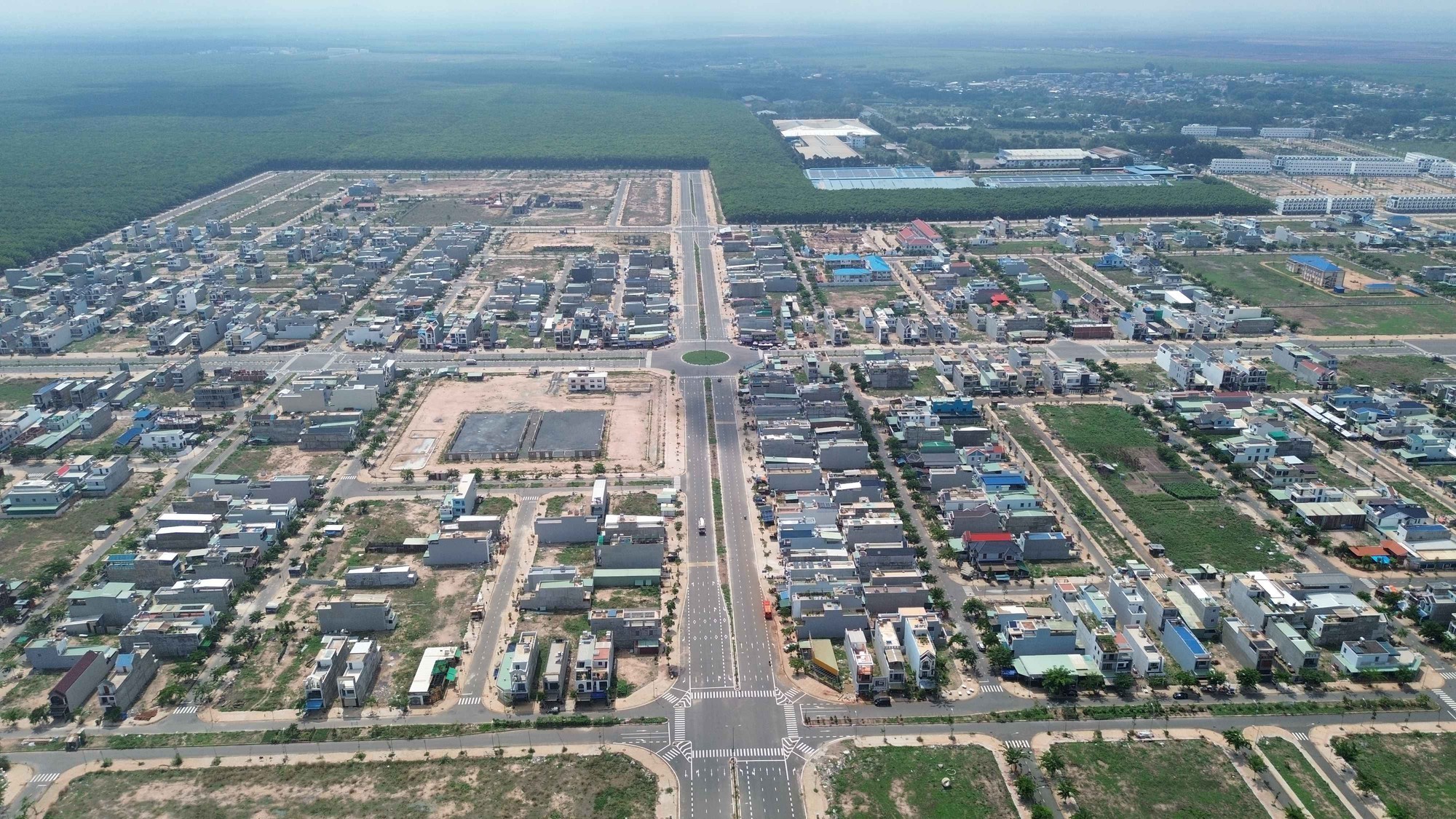 dnai-1734675124.jpg