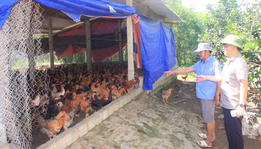 mo-hinh-sinh-ke-4-1740491082.png