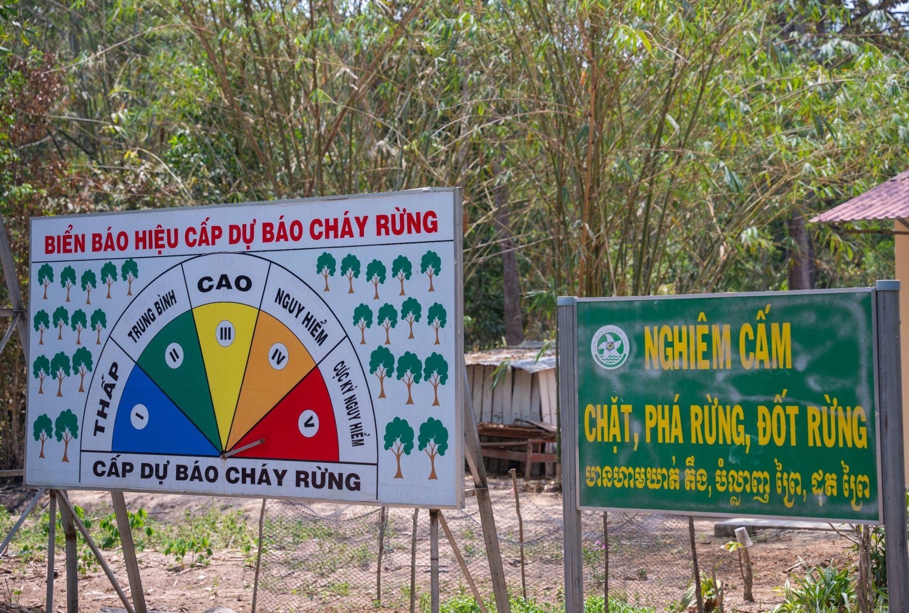 canh-bao-nguy-co-chay-rung-3-1743045794.jpg
