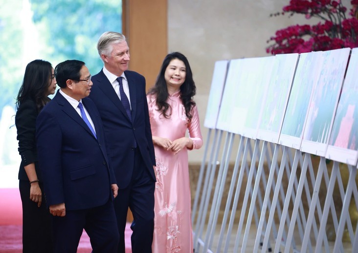 hop-tac-viet-nam-bi-2-1743514265.jpg