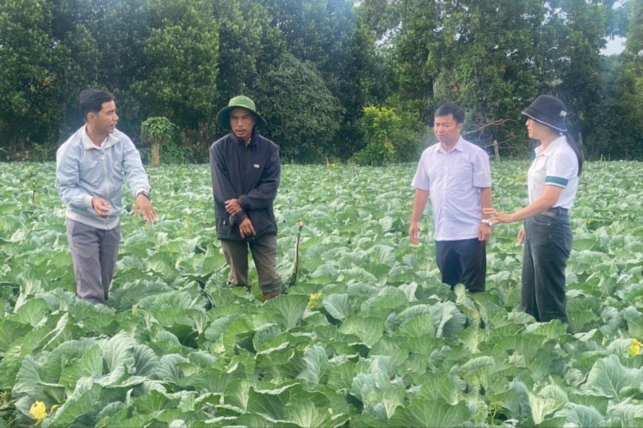 can-bo-khuyen-nong-huong-dan-nong-dan-xa-dak-ha-huyen-dak-glong-cham-soc-rau-xanh-theo-huong-an-toan-ve-sinh-thuc-pham-1743925069.jpg