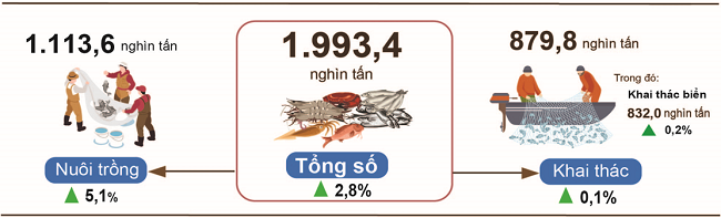 cuc-thong-ke-1744109106.png