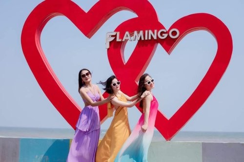 flamingo-1744123893.jpg