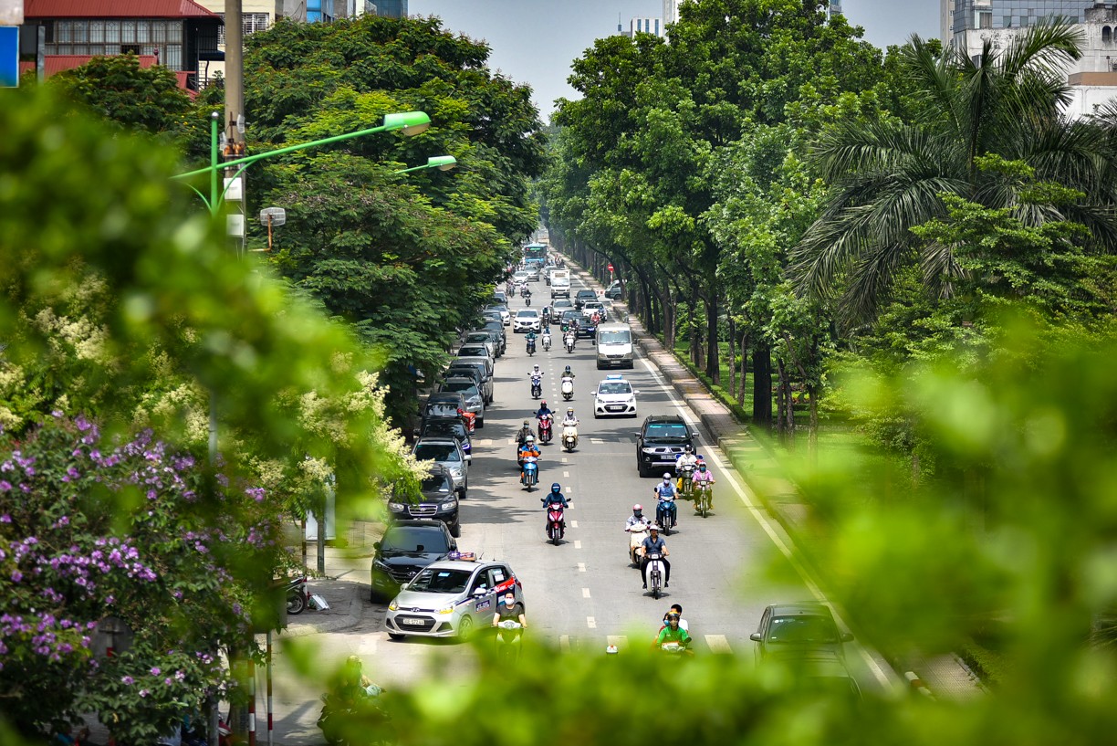 trong-cay-xanh-ha-noi-17273200571512085341784-1744072229.webp
