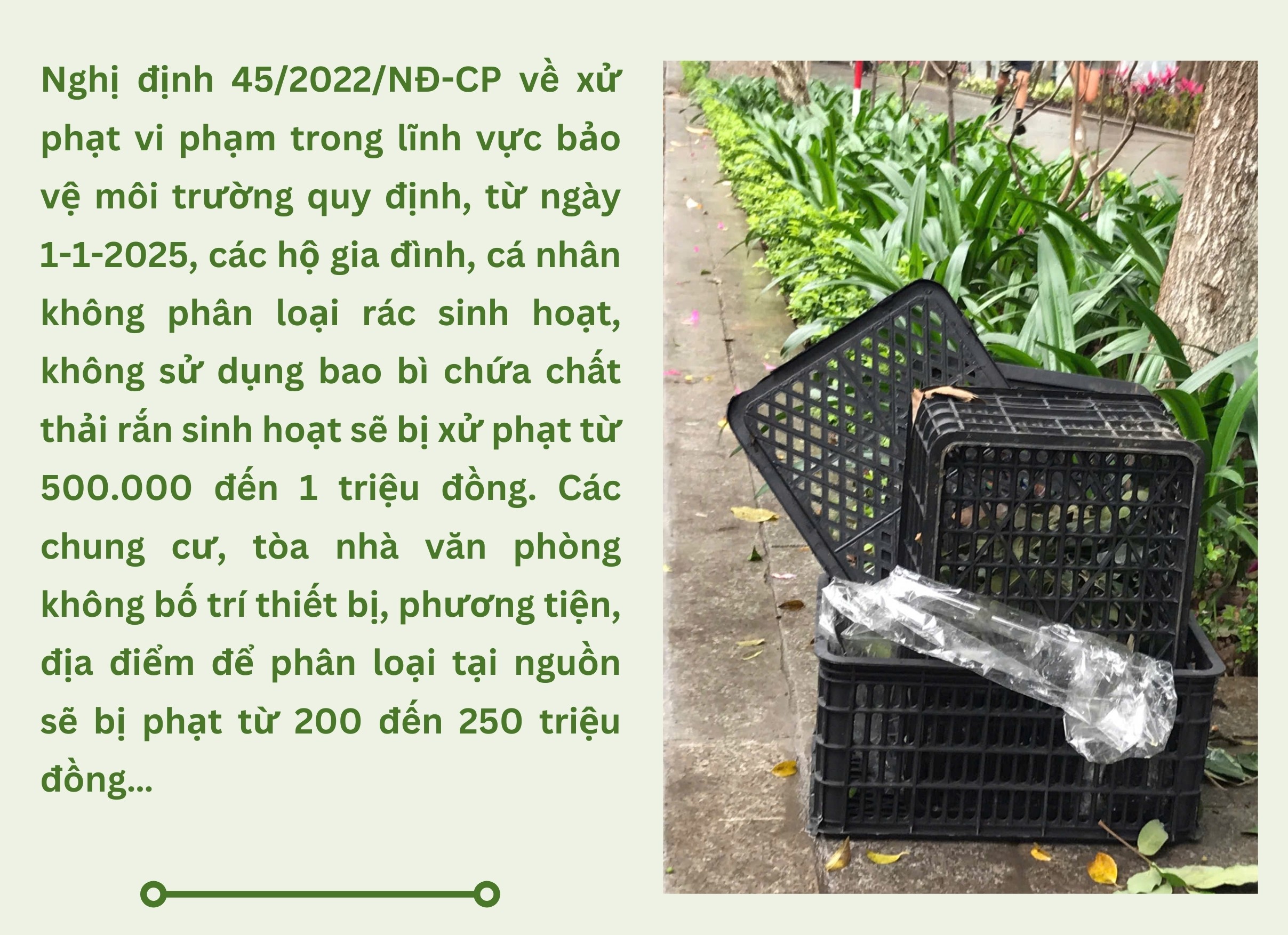 truong-11-1744103567.jpg