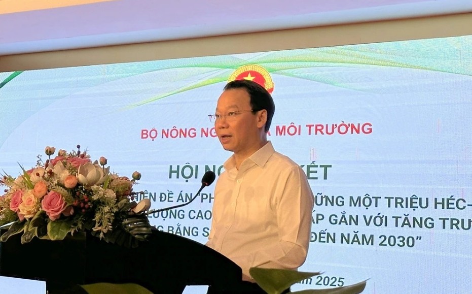 hoi-nghi-so-ket-de-an-trong-lua-chat-luong-cao-3-1744203252.jpg