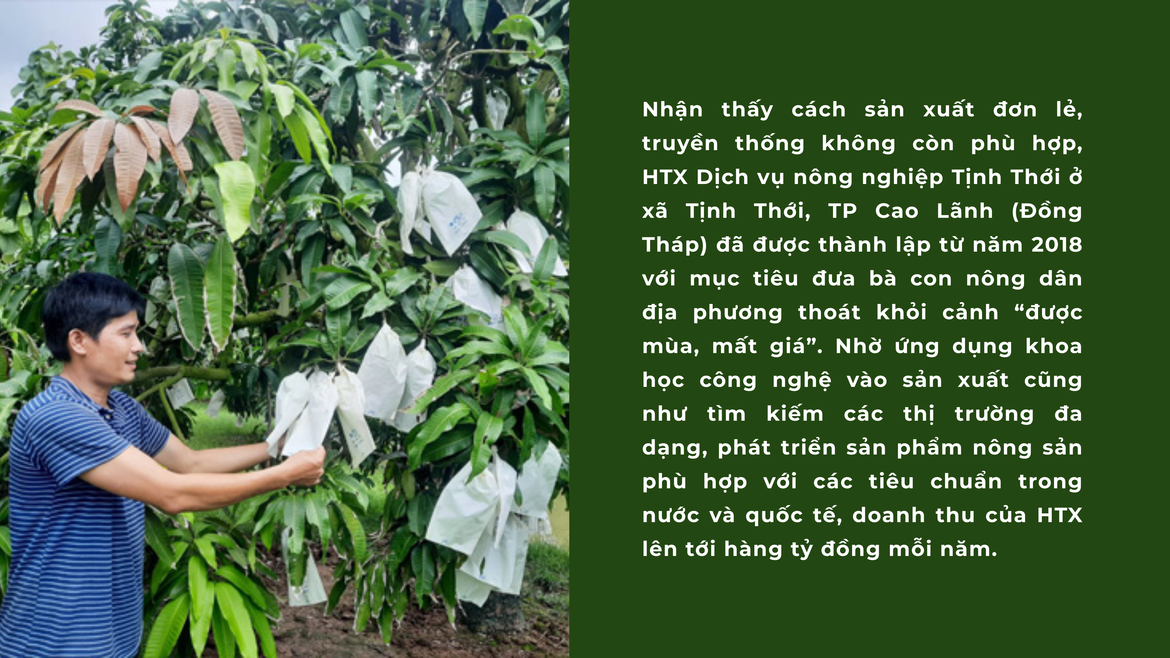anh-4-1744605943.png