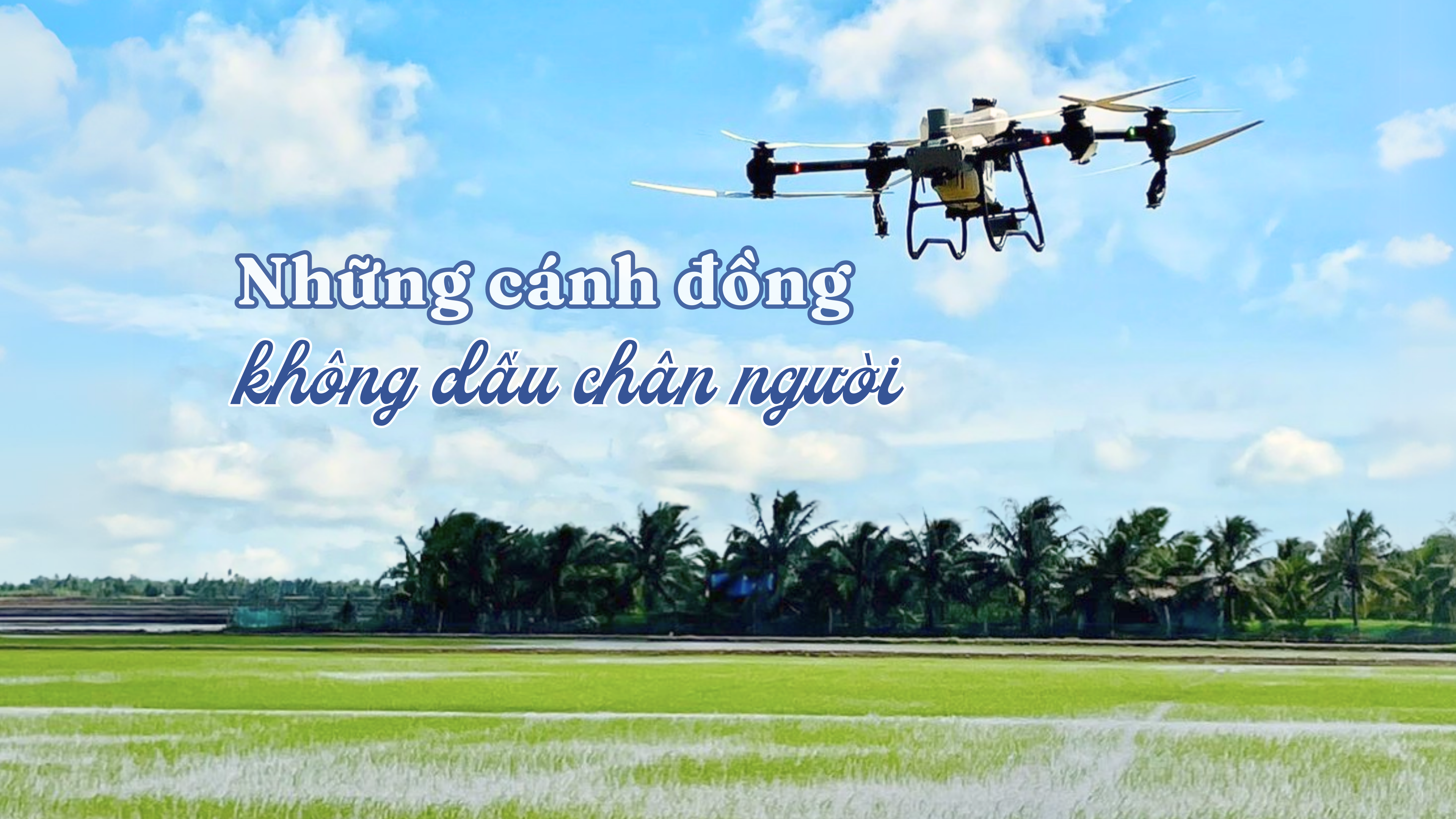 Những cánh đồng không dấu chân người