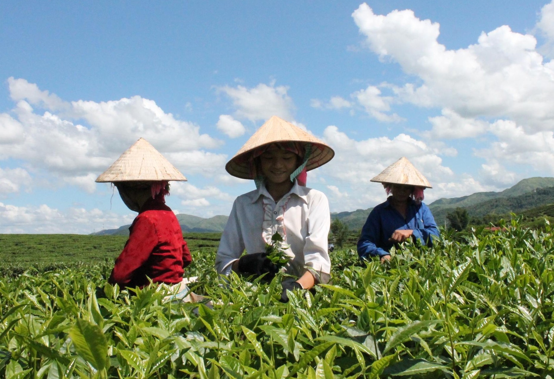 cho-vay-nong-lam-nghiep-1-1744766573.jpg