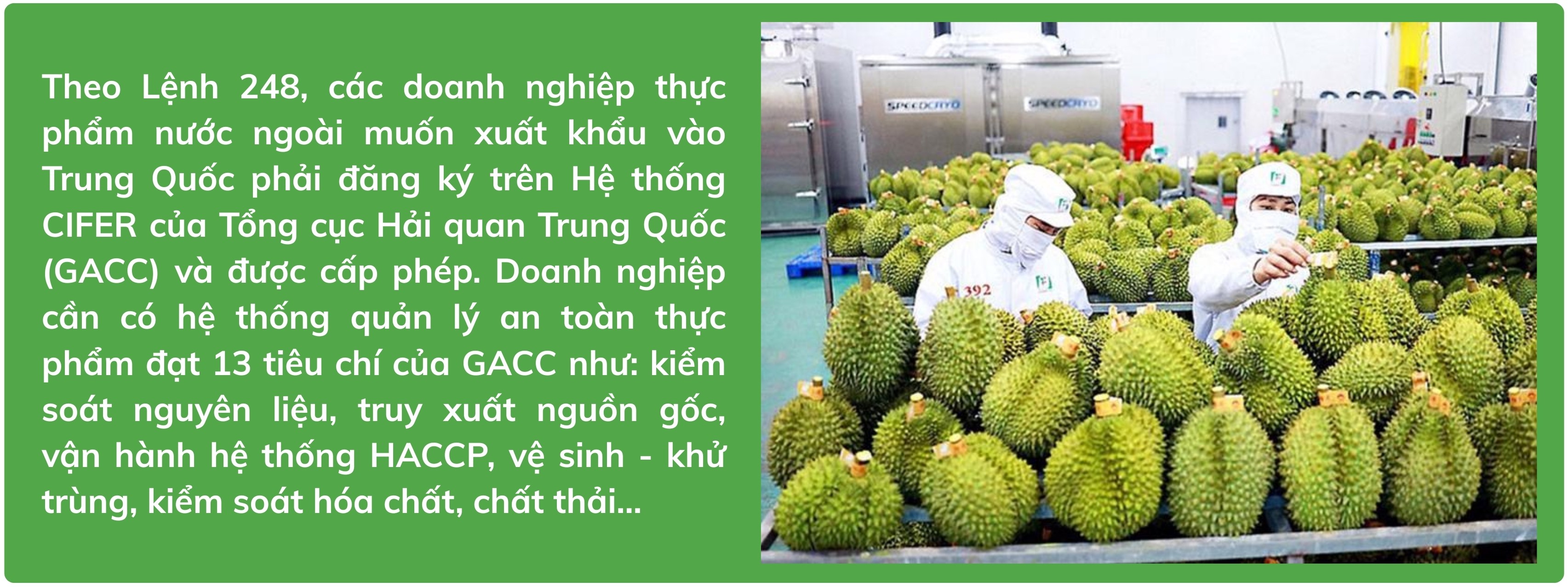 truong-50-1744820408.jpg