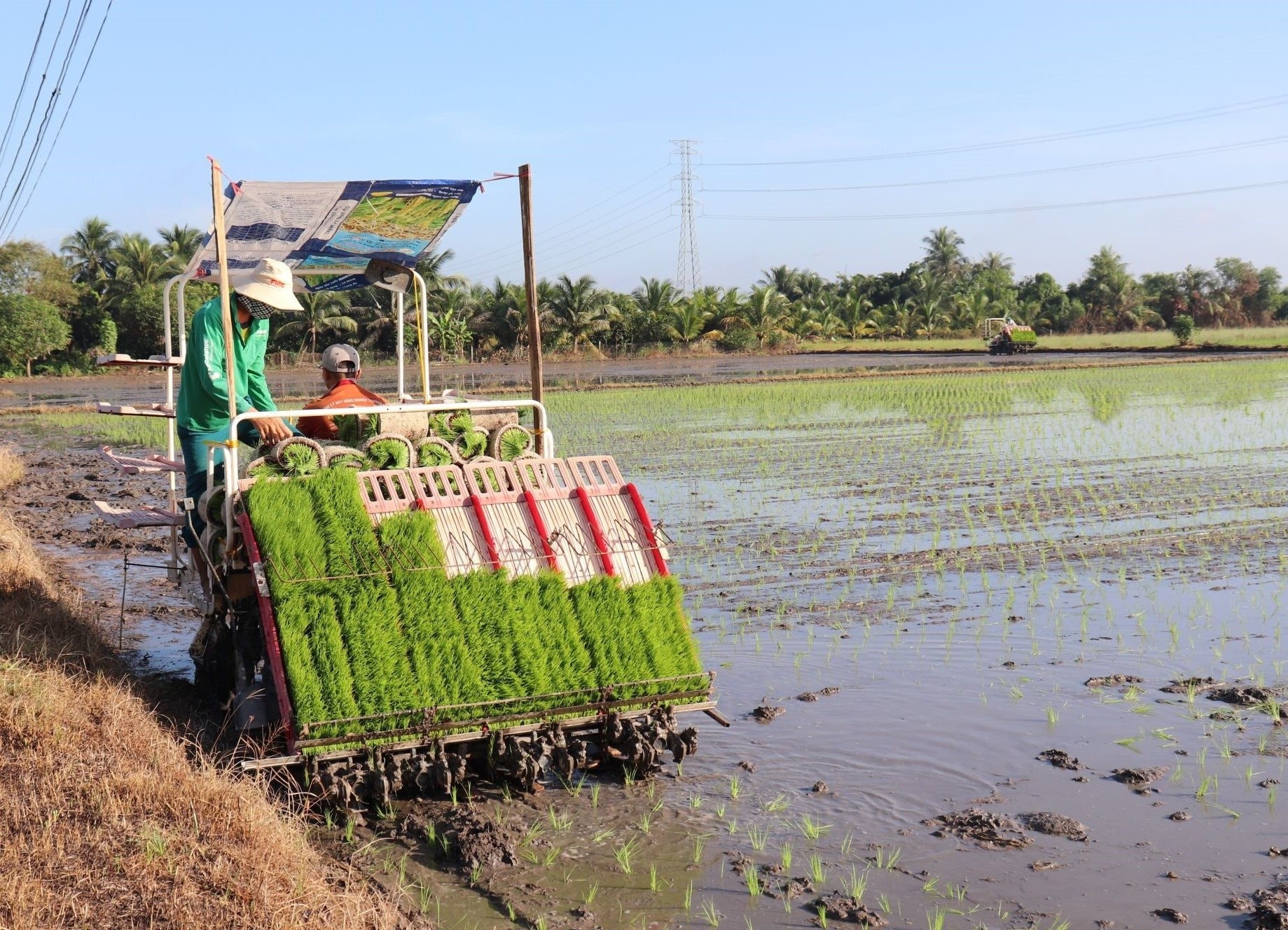 htx-bau-don-su-dung-may-cay-lua-2-1744876713.jpg