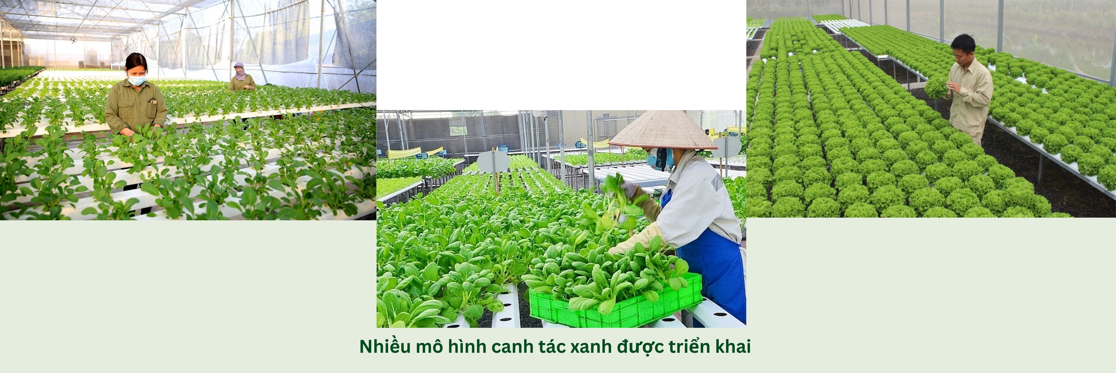 truong-73-1744954753.jpg