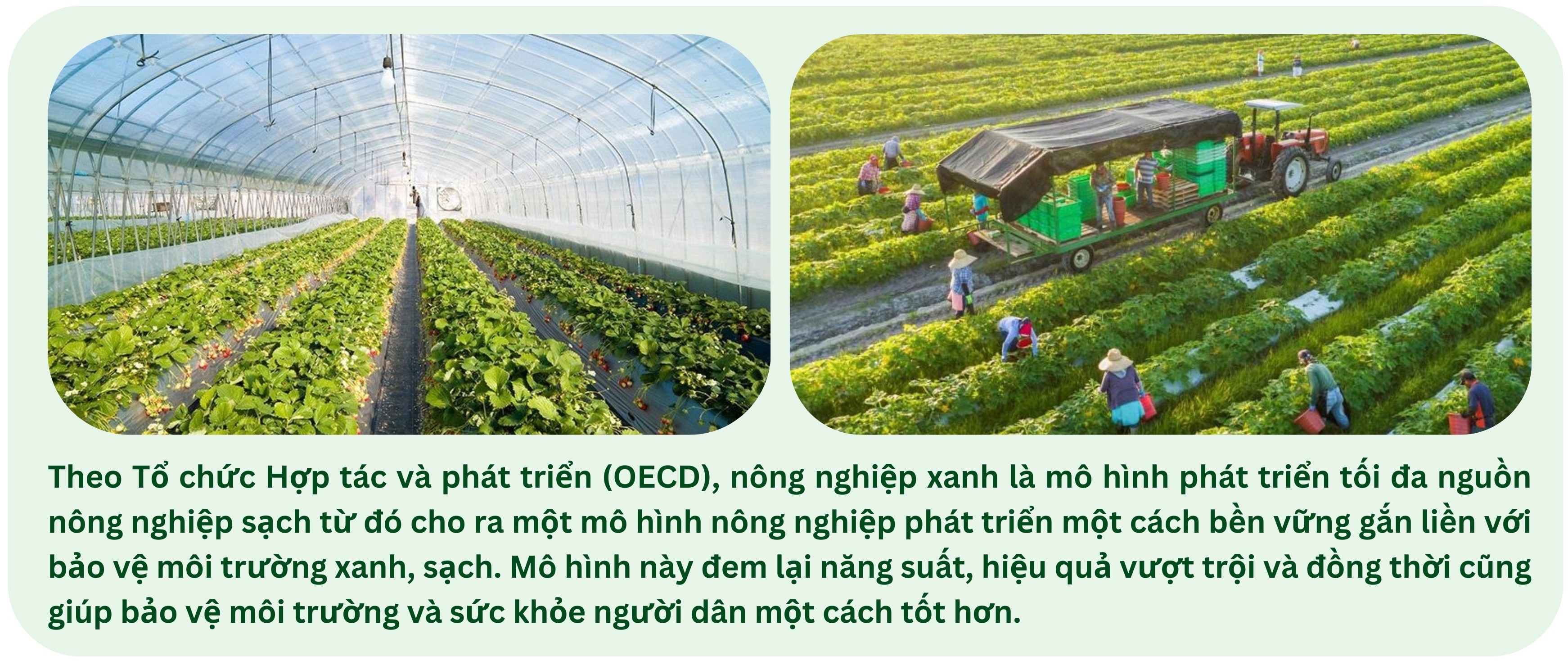 truong-79-1744956067.jpg