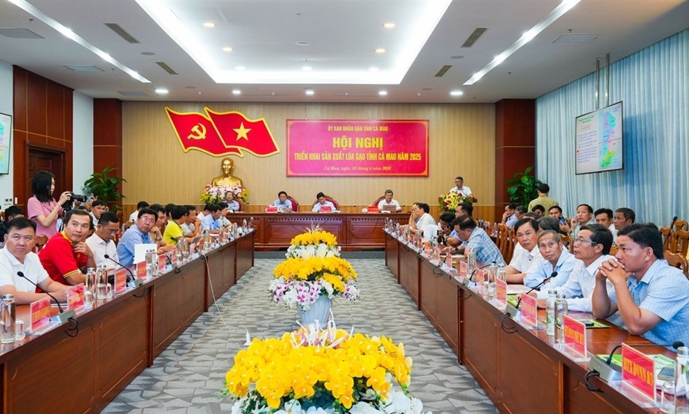 hoi-nghi-san-xuat-lua-gao-ca-mau-1-1745021346.jpg