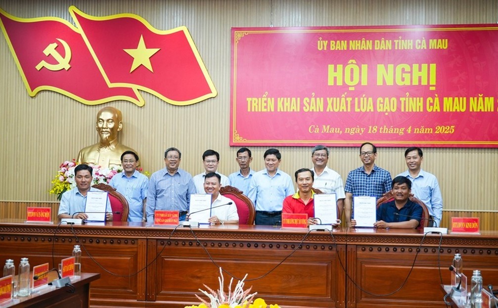 hoi-nghi-san-xuat-lua-gao-ca-mau-3-1745021465.jpg