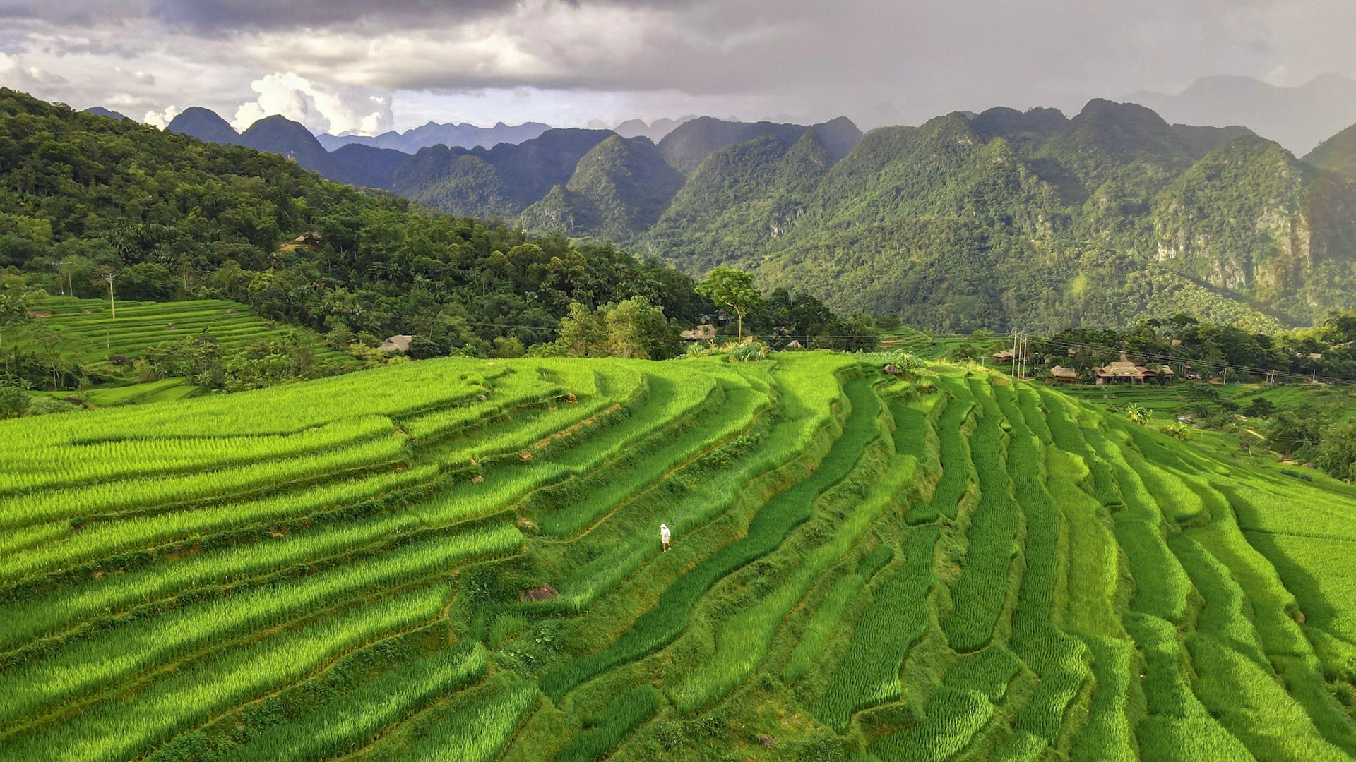 puluongthanhhoa-1650946350-6138-1650947117-1745062478.webp