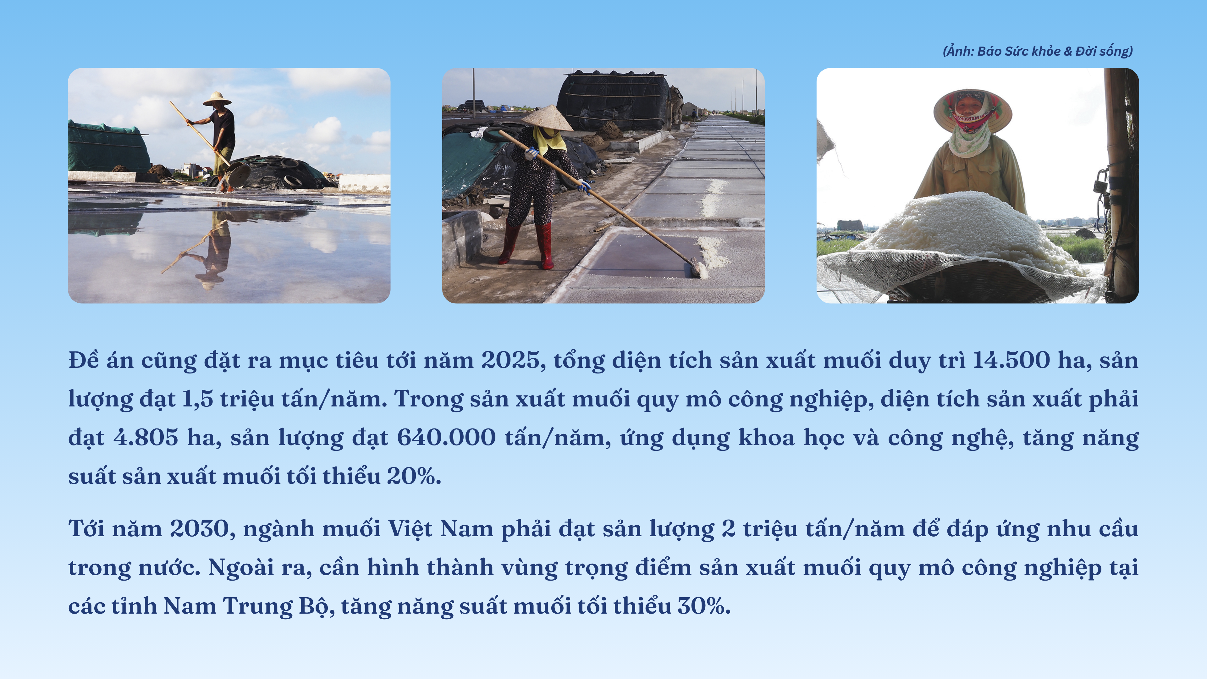 lam-muoi-4-1745140741.png