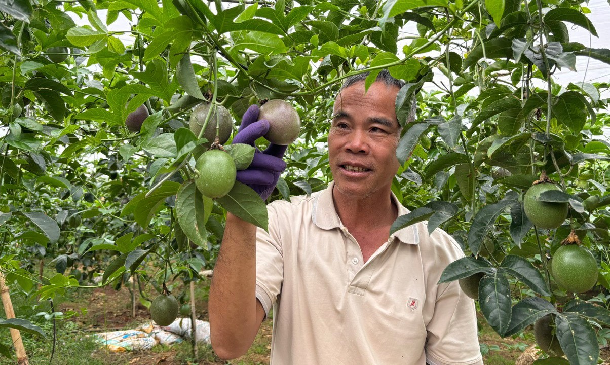 xuat-khau-rau-qua-dau-nam-2025-4-1745134219.jpg