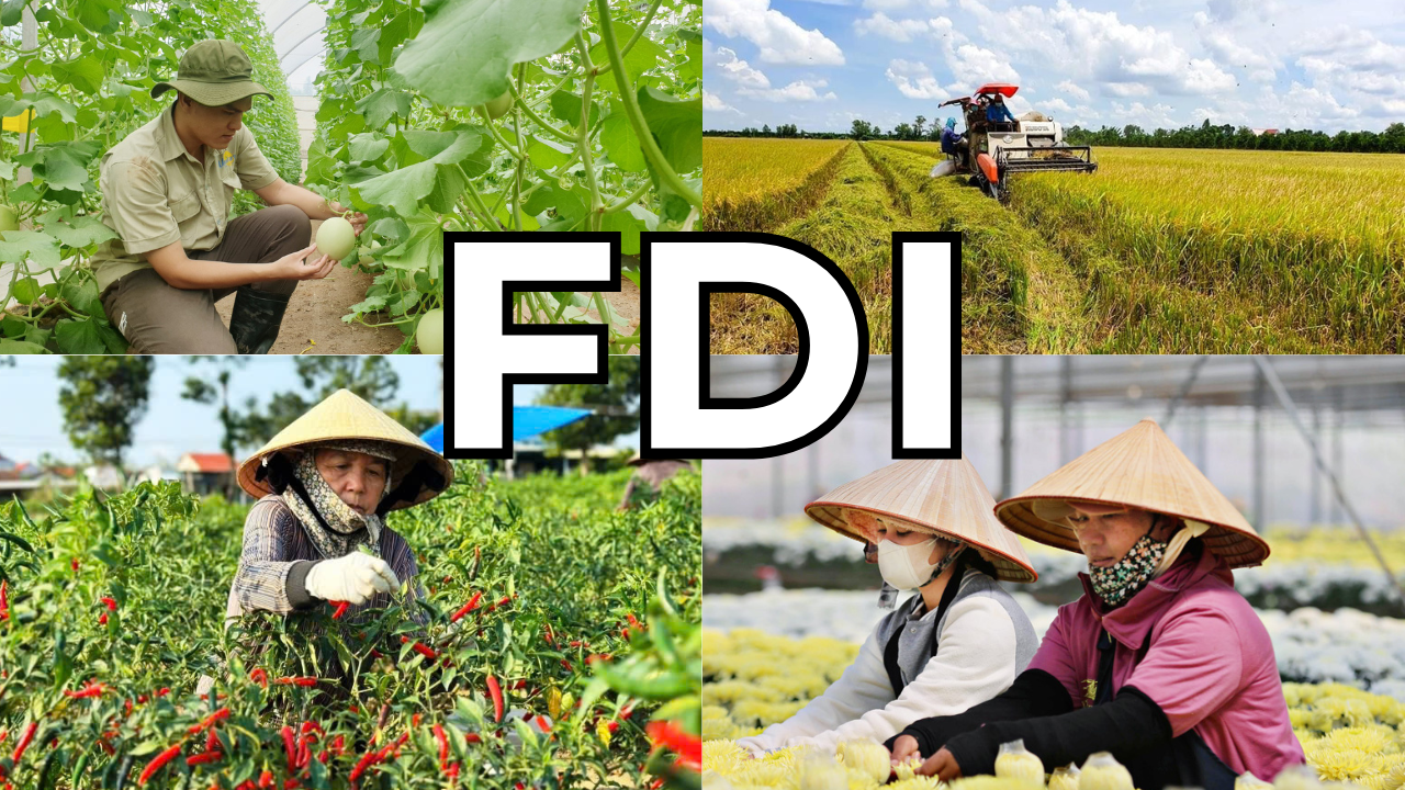 fdi-1-1745486087.png