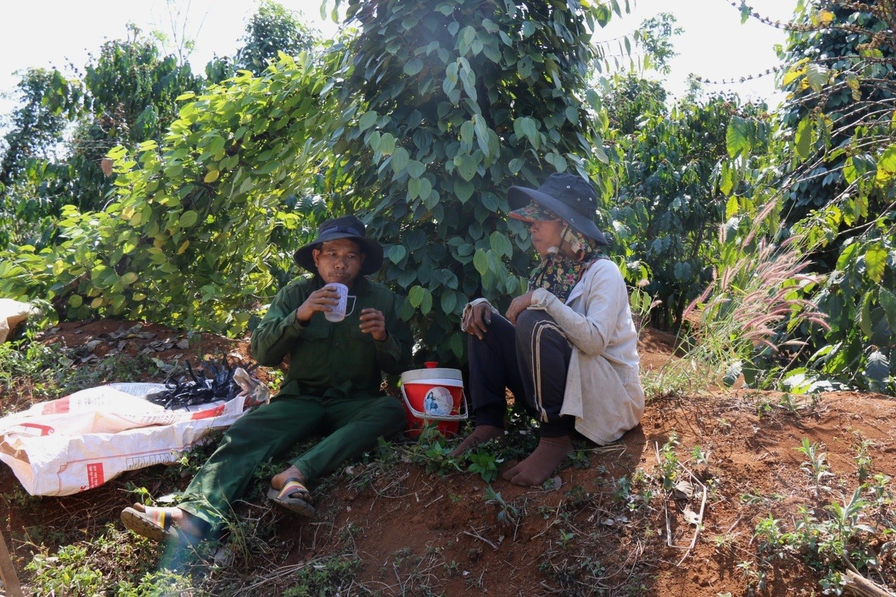 du-hai-tieu-la-cong-viec-nguy-hiem-nhung-nhieu-nguoi-van-chon-lam-de-co-them-thu-nhap-trang-trai-cho-cuoc-song-1745543149.jpg