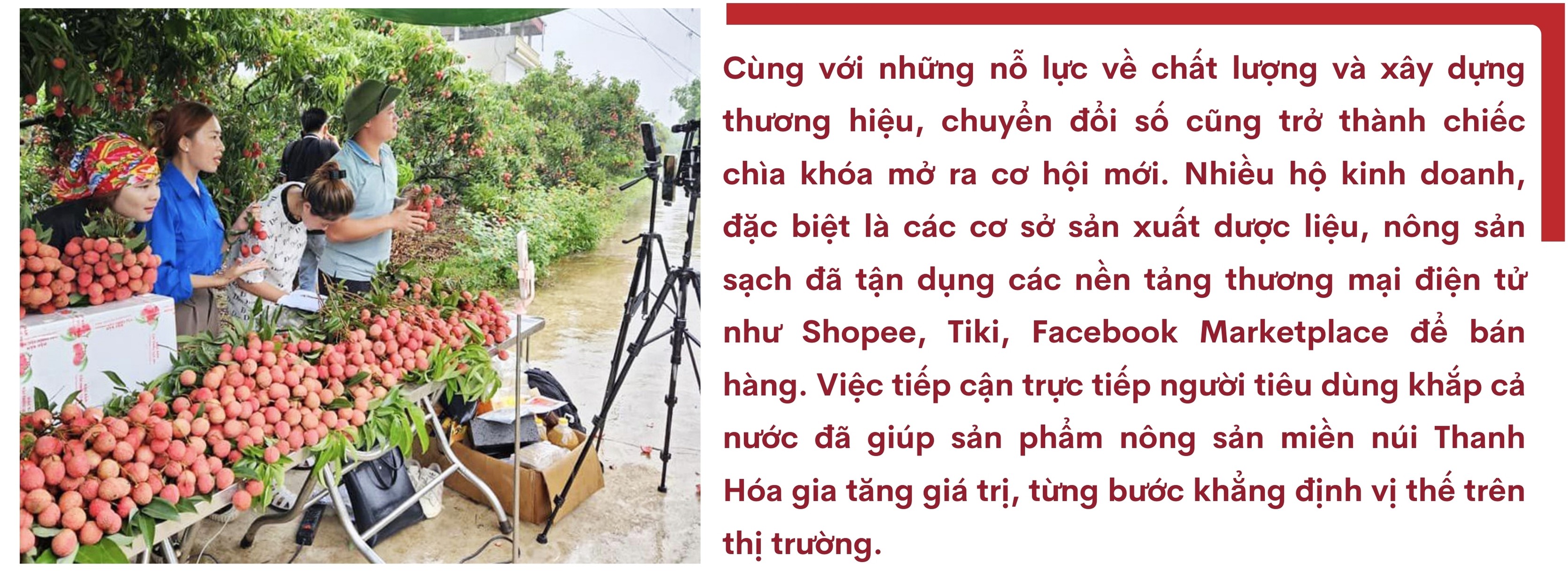 longform-50-1746182968.jpg