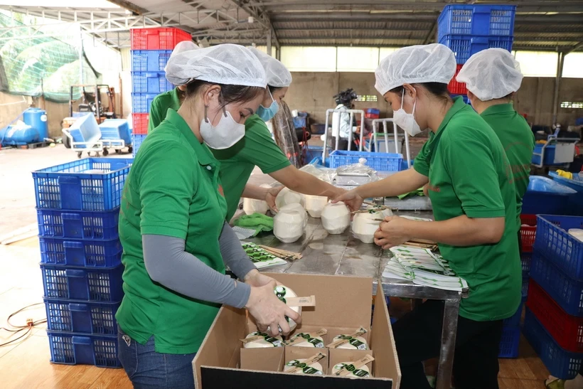1709-dua-tuoi-ben-tre-8736-1746356273.webp