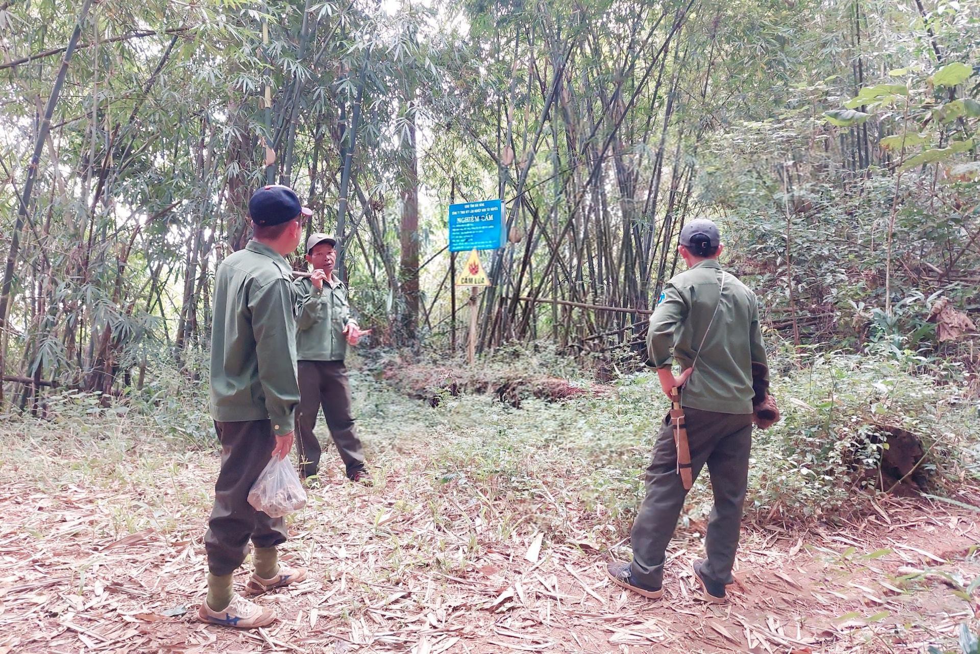 luc-luong-quan-ly-bao-ve-rung-cua-cong-ty-tnhh-mtv-lam-nghiep-nam-tay-nguyen-tap-trung-tuan-tra-kiem-soat-tai-nhung-khu-vuc-co-nguy-co-cao-ve-pha-rung-chay-rung-1746337206.jpeg