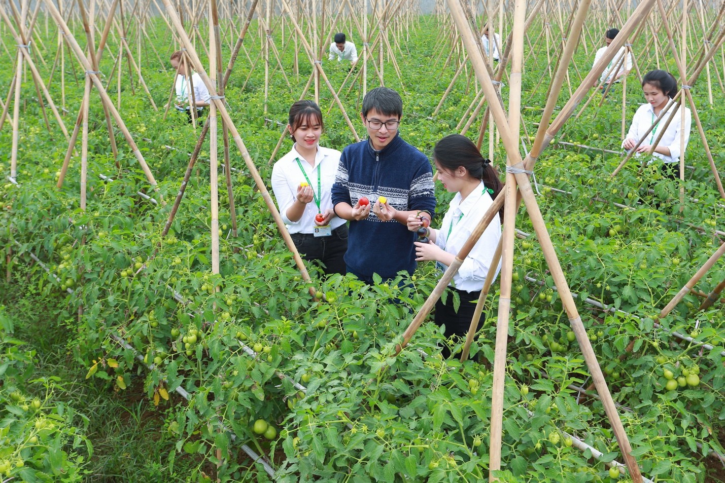 viec-lam-nong-nghiep-1-1746672350.jpg