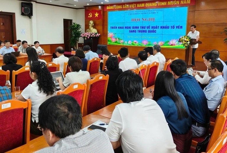 xuat-khau-to-yen-1-1746756205.jpg