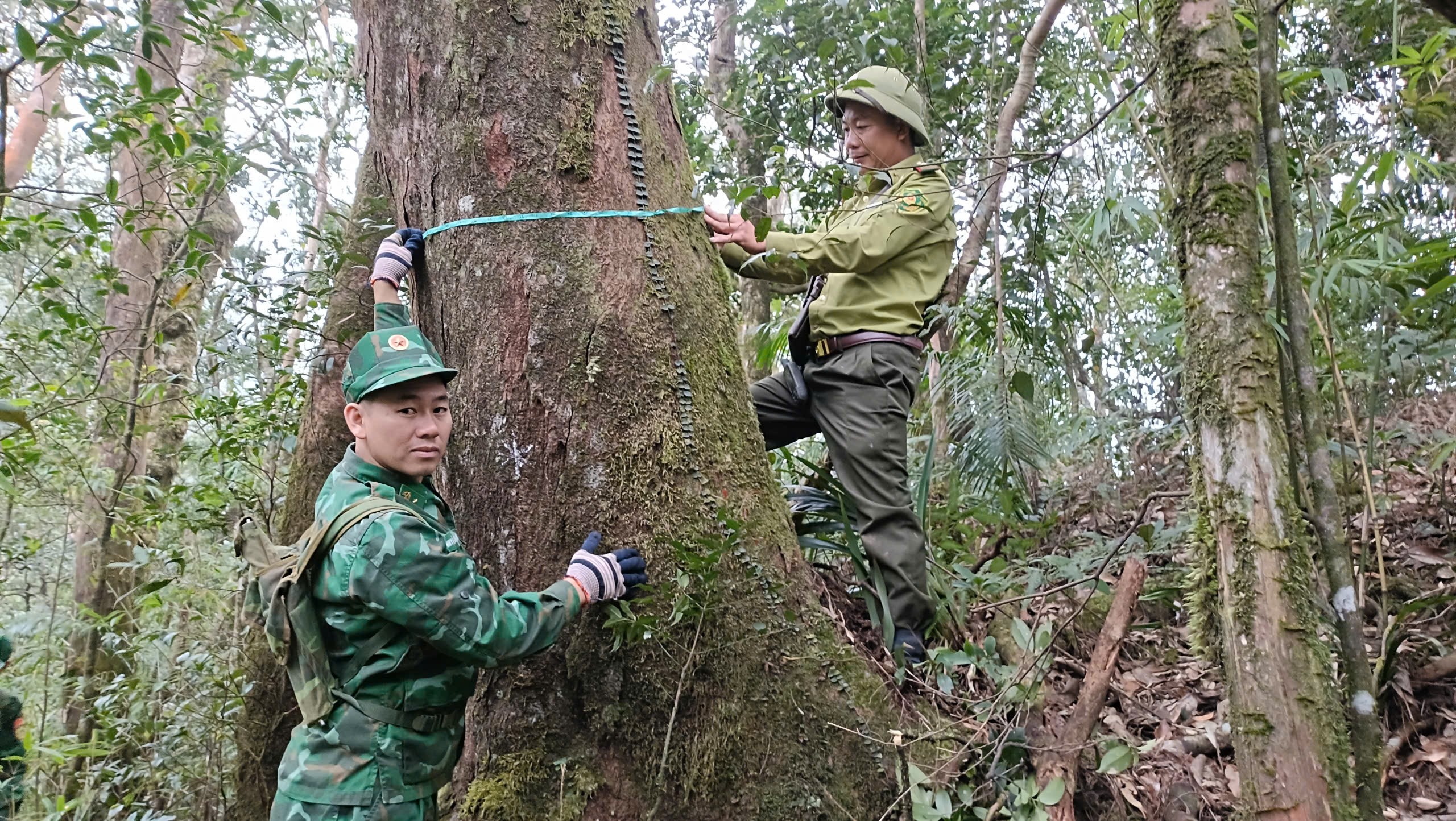 hoang-dan-1746936234.jpg