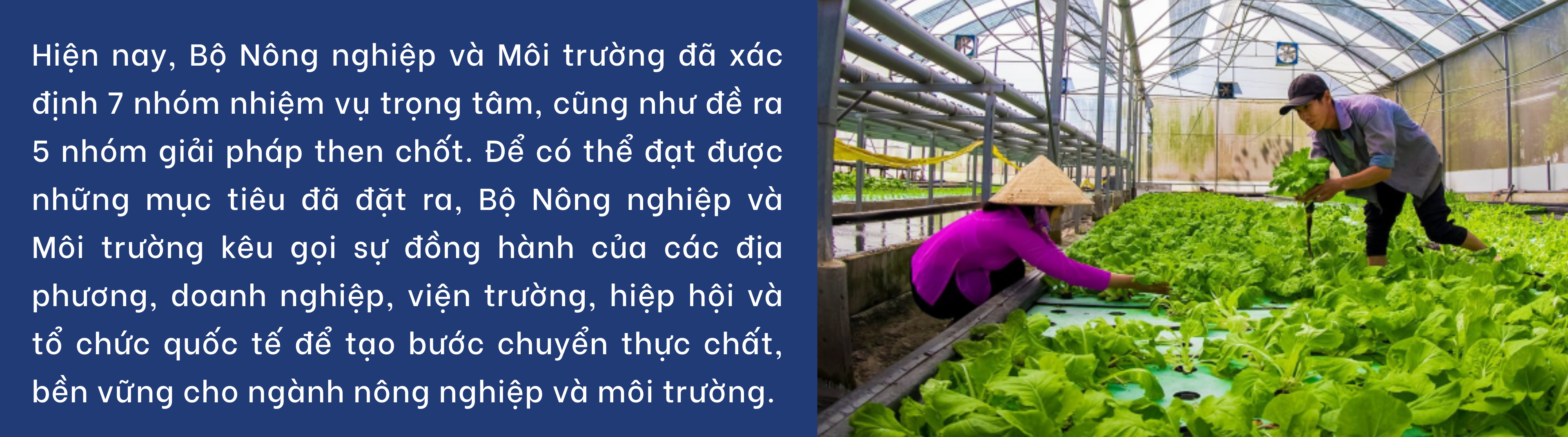nong-san-5-1746946393.png