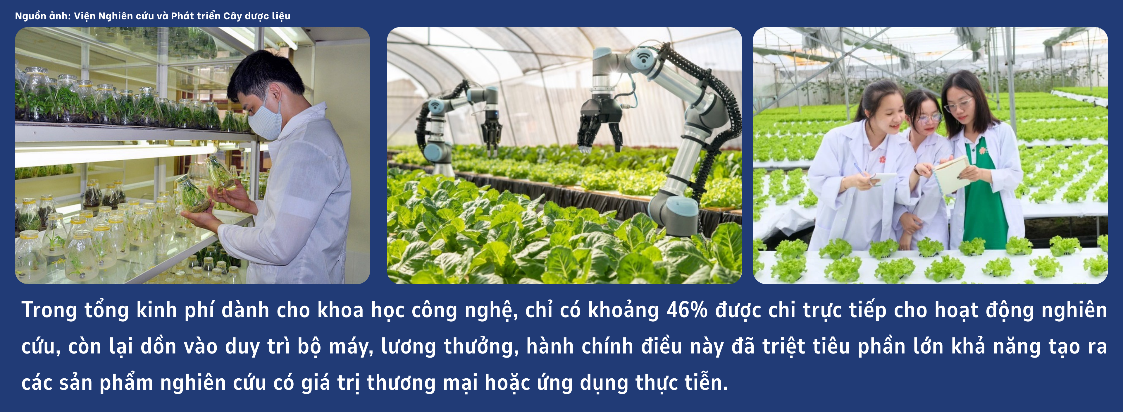 nong-san-9-1746946395.png