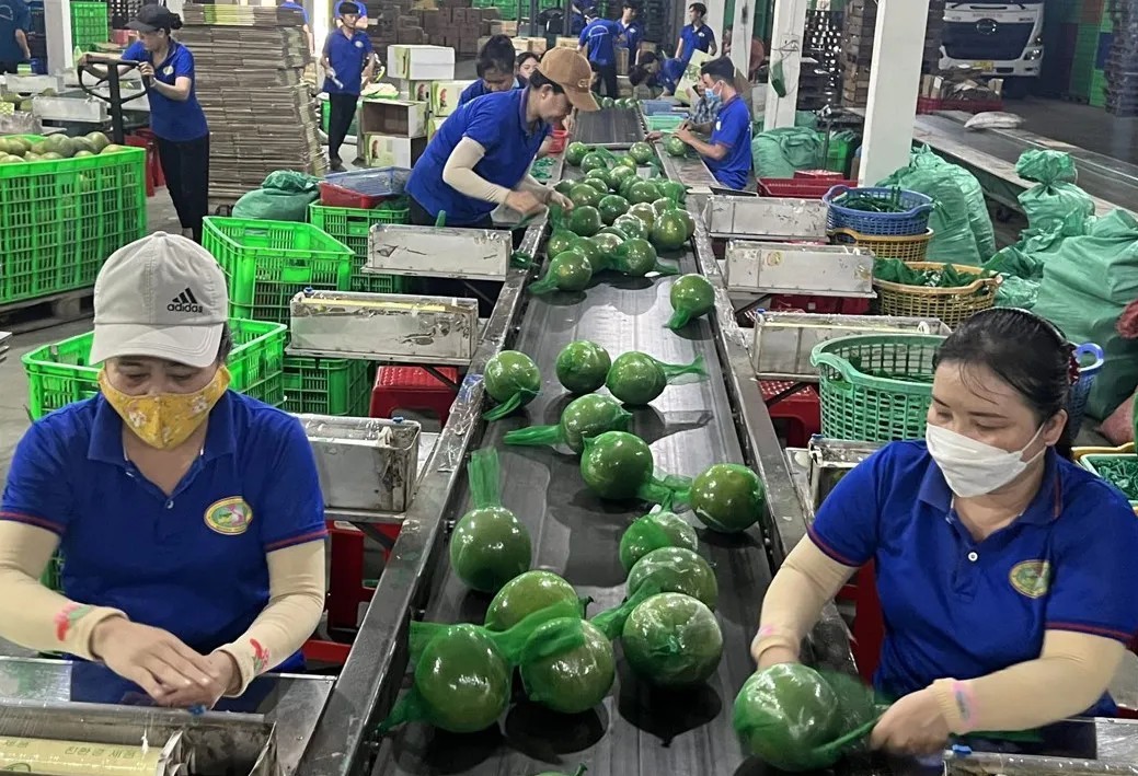 kich-ban-tang-truong-kinh-te-2025-4-1747014357.jpg