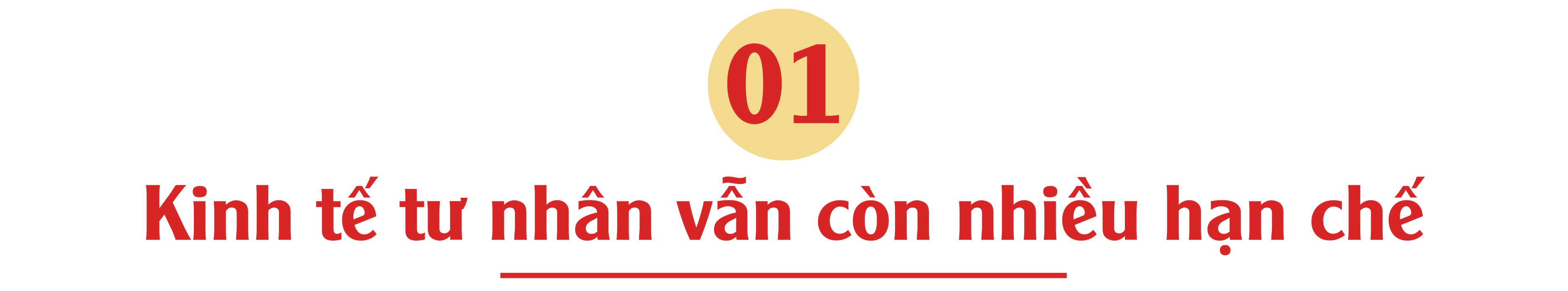 longform-11-1747208268.png