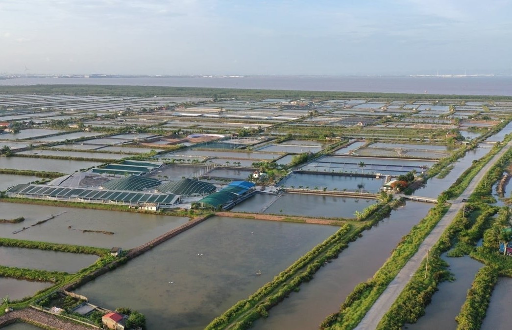 chuyen-doi-xanh-nong-nghiep-hai-phong-1-1747364891.jpg