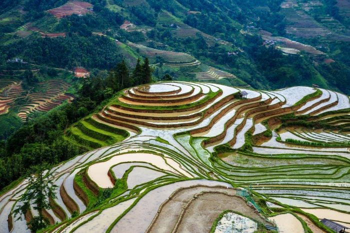 ha-giang-mua-nuoc-do-4-1-1747581236.jpg