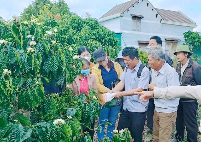 nong-dan-cu-mgar-trao-doi-nang-cao-chat-luong-trong-cham-soc-che-bien-ca-phe-1747786344.jpg