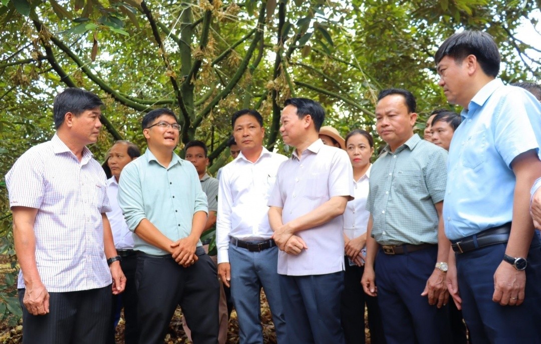 bo-truong-bo-nong-nghiep-va-moi-truong-do-duc-duy-di-thuc-dia-vung-trong-sau-rieng-tai-huyen-krong-pac-1748146999.jpeg