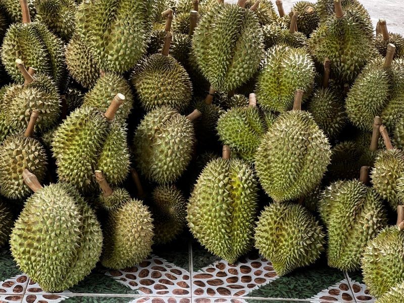 sau-rieng-2740-1748482415.jpg