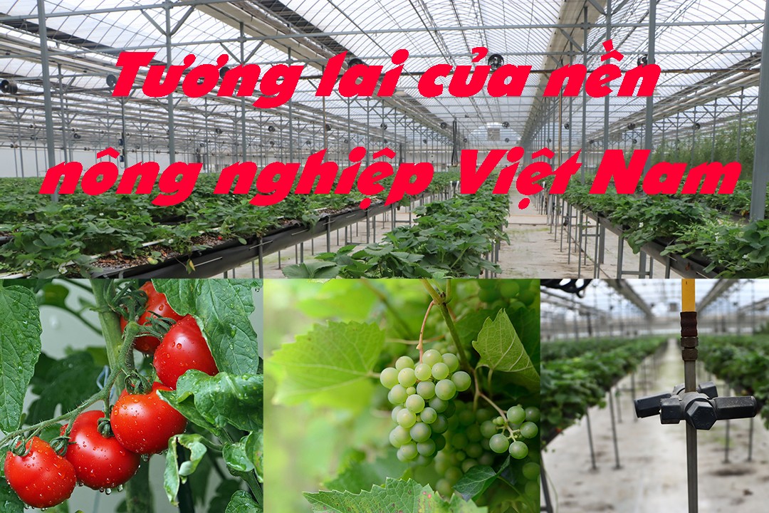 tuong-lai-cua-nong-nghiep-viet-nam-1748519314.jpg
