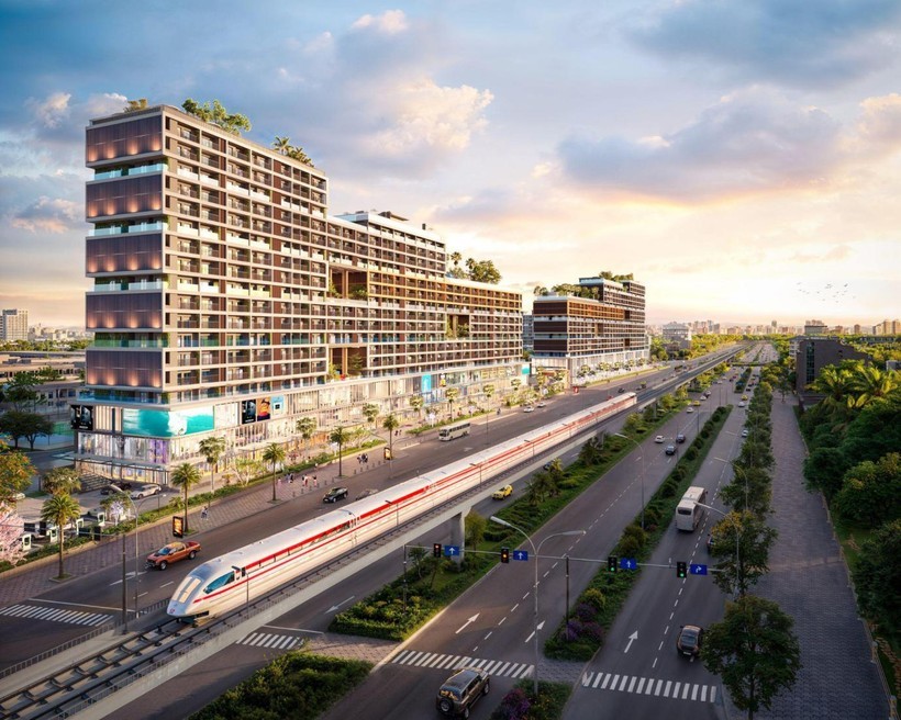 longthanh12-7480-337-1748623646.jpg
