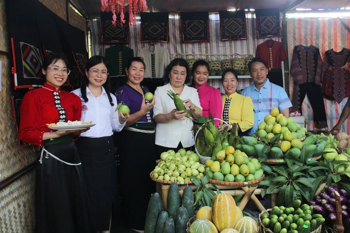son-la-5-cay-co-thu-duoc-vinh-danh-cay-di-san-viet-nam-165235-728-185714-1748655440.webp