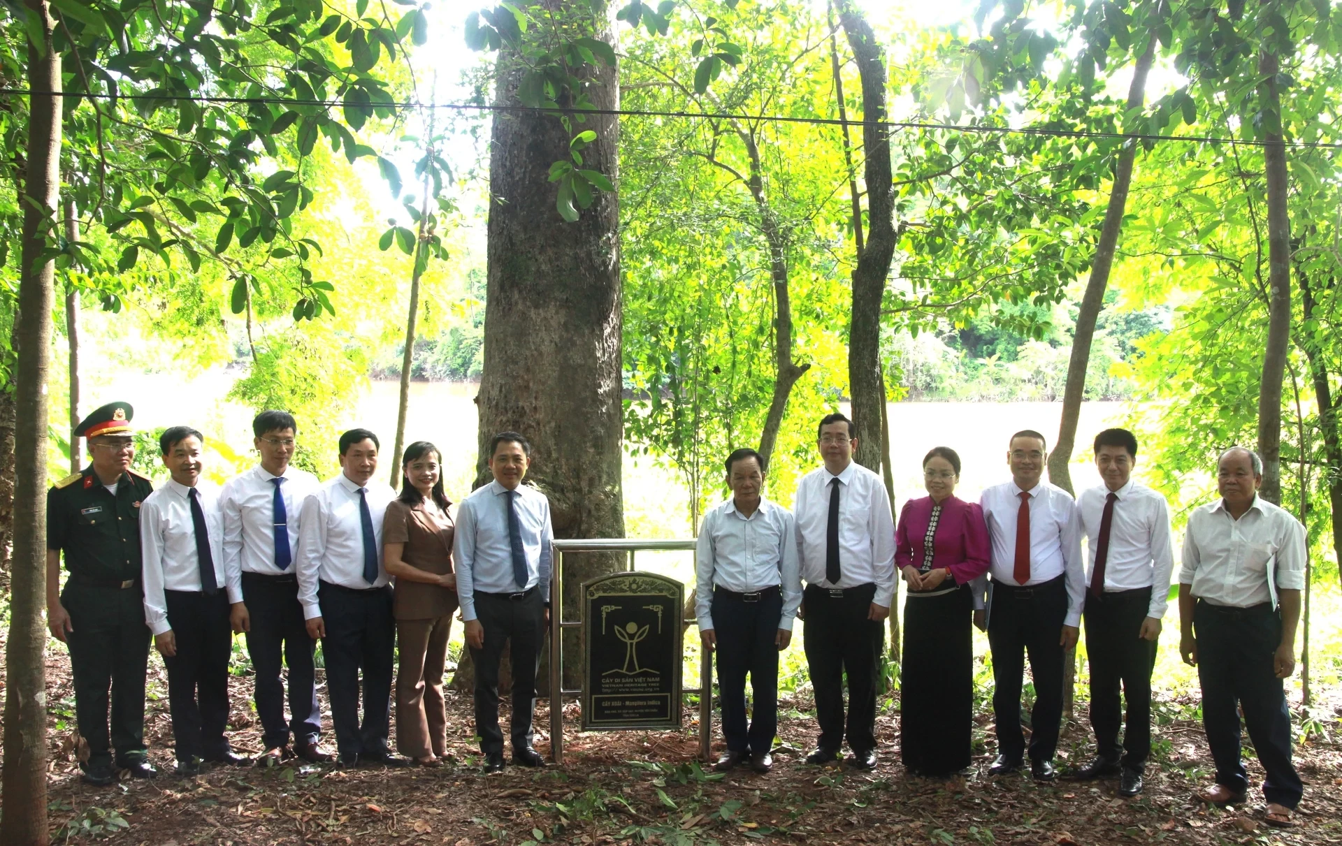son-la-5-loai-cay-duoc-cong-nhan-cay-di-san-viet-nam-154842-749-1748655163.webp
