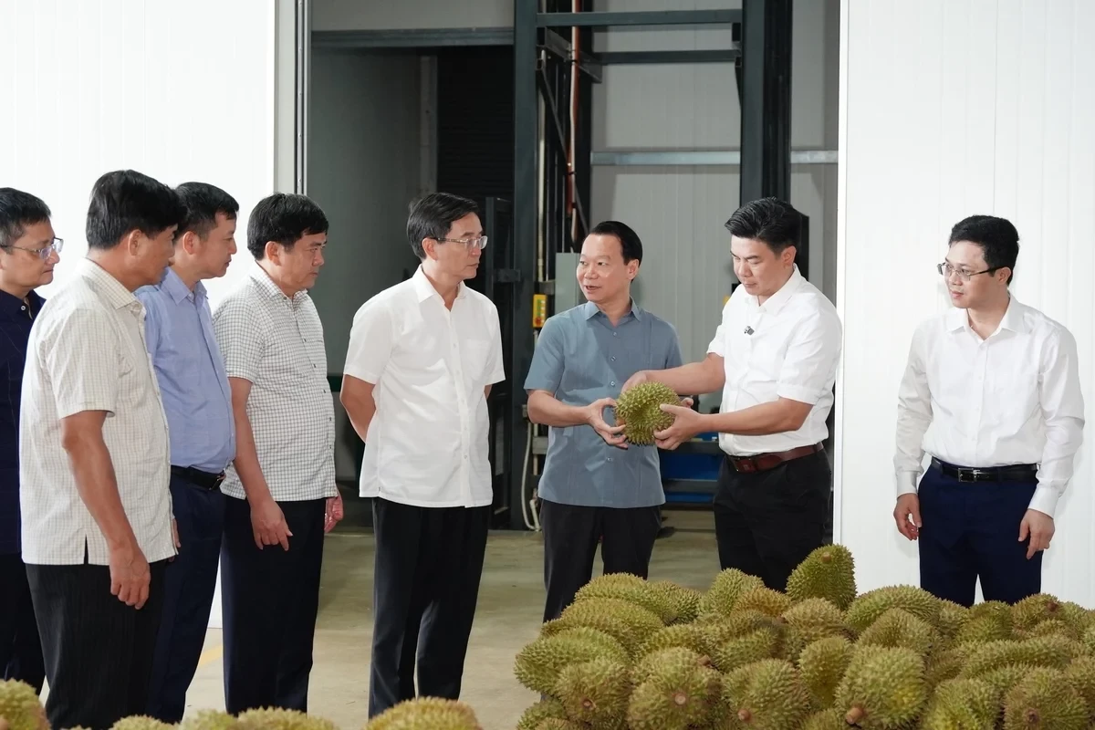 bo-truong-sau-rieng-1748841582.webp