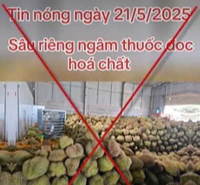tin-gia-sau-rieng-1748841582.jpg