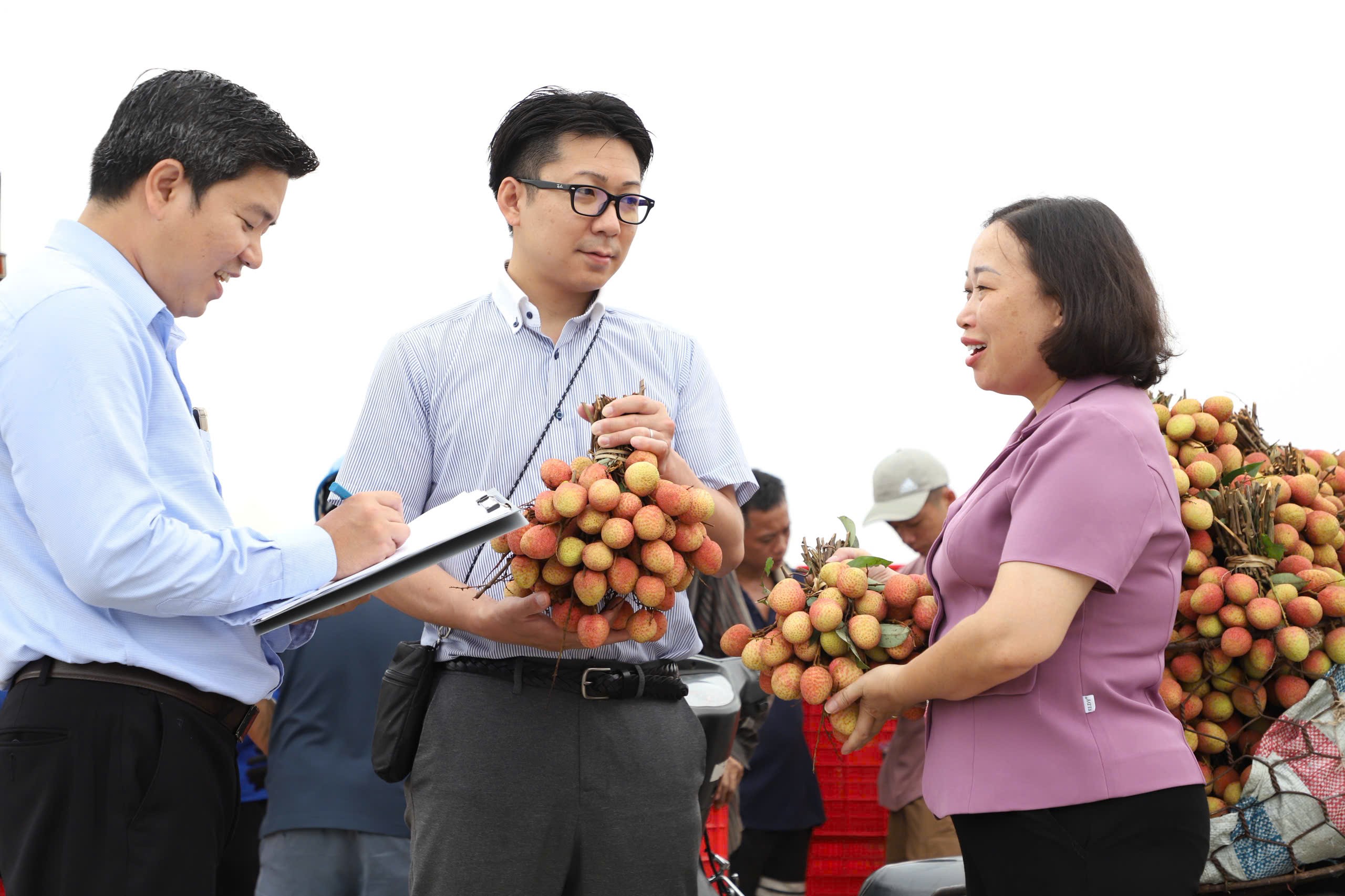Phó Giám đốc Sở LC88 là nơi thu hút hàng triệu người chơi tại Việt Nam 2026 và Link LC88 Đăng Nhập Mới Nhất Hải Dương Lương Thị Kiểm (ngoài cùng bên phải) cùng chuyên gia thu mua Tập đoàn AEON Nhật Bản kiểm tra vùng trồng vải Sân Chơi Lc88.com Web Uy Tín tại huyện Thanh Hà, ngày 5/6/2025 -Ảnh Tiến Mạnh