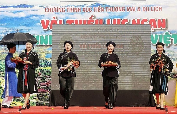Tiết mục trình diễn trang phục từ vải thiều – kết hợp quảng bá nông sản với giá trị văn hóa bản địa, thu hút Lc88.men Cá cược thể thao và truyền thông.