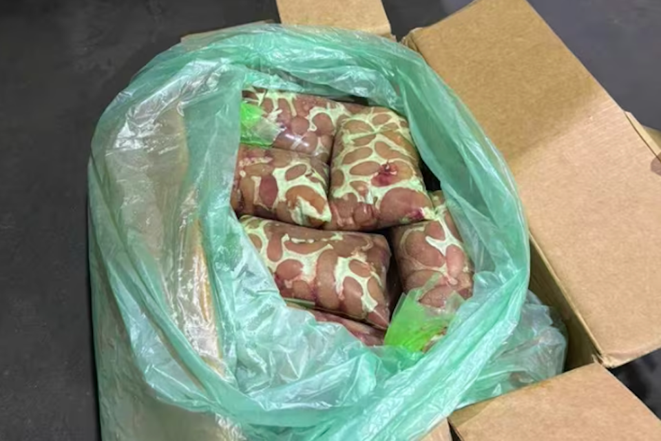 gần 70 tấn nội tạng