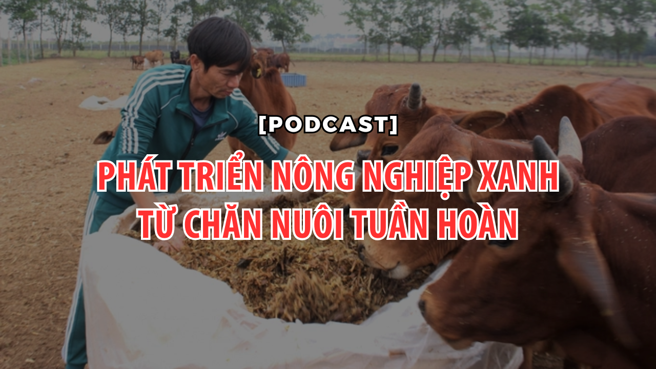 podcast-6-1749785344.png